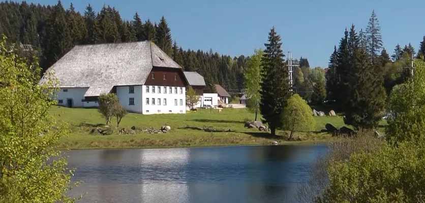 بسته بندی وحمل اثاثیه منزل اصفهان | 05 زیبایی در جنگل سیاه وورتمبرگ! ناظم بار nazembar