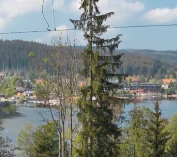 بسته بندی وحمل اثاثیه منزل اصفهان | 05 زیبایی در جنگل سیاه وورتمبرگ! ناظم بار nazembar